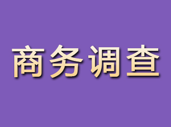 大观商务调查